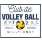 VOLLEY-BALL DE MILLY LA FORET